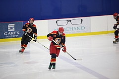 C5D_028262
