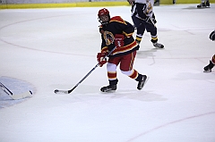 C5D_030367