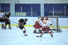 C5D_030709