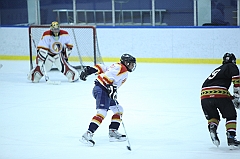 C5D_030960