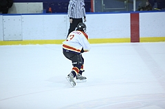 C5D_031031