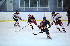 C5D_031479