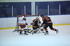 C5D_032011