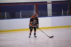 C5D_035110