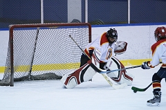 IMG_007494