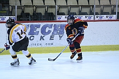 B1_003619