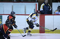 B1_003641
