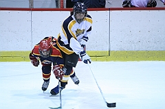 B1_003667