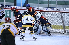 B1_003690