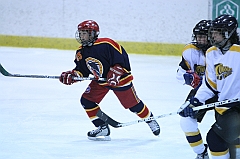 B1_003695