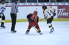 B1_003806