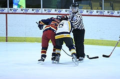 B1_003841