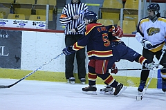 B1_003991