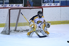 B1_004290