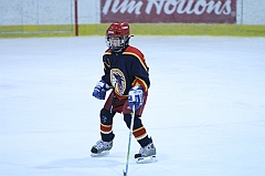 B2_003445