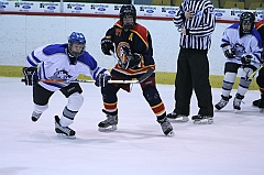 B2_003533