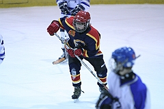 B2_003535