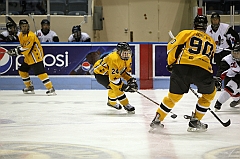 C5D_038370