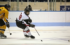 C5D_038479