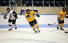C5D_038490