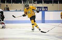C5D_038493