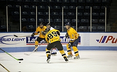 C5D_038536