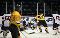 C5D_038570