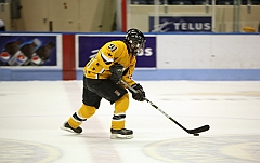 C5D_038797