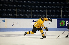 C5D_038806