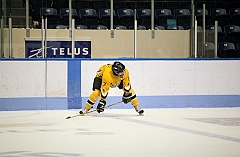 C5D_038842