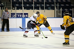 C5D_038874