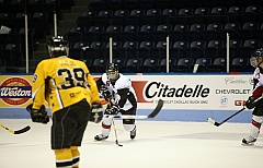 C5D_038880
