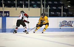 C5D_038976
