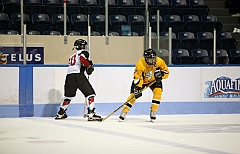 C5D_038977