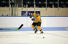 C5D_039101