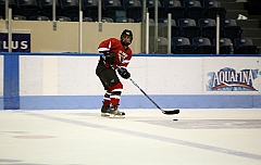 C5D_039619