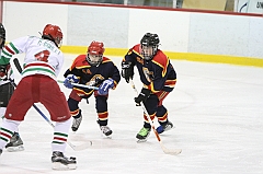 B1_005086