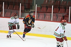 B1_005394