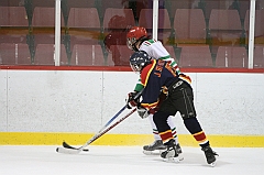 B1_005585