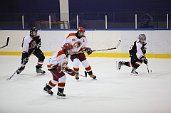 C5D_011795