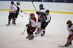 C5D_011868