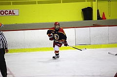 C5D_014068