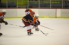 C5D_014453