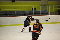 C5D_014501