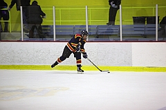 C5D_014528
