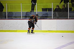C5D_014529