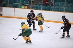 C5D_119196