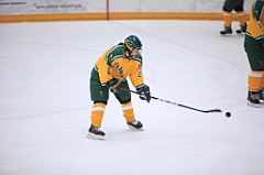 C5D_120100