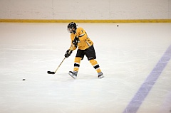 C5D_083431