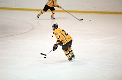 C5D_083480
